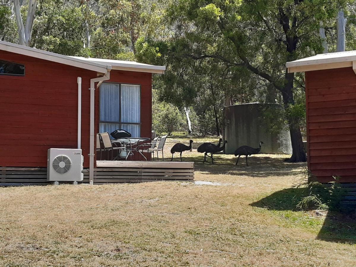 Wonderland Cottages Halls Gap Exteriör bild